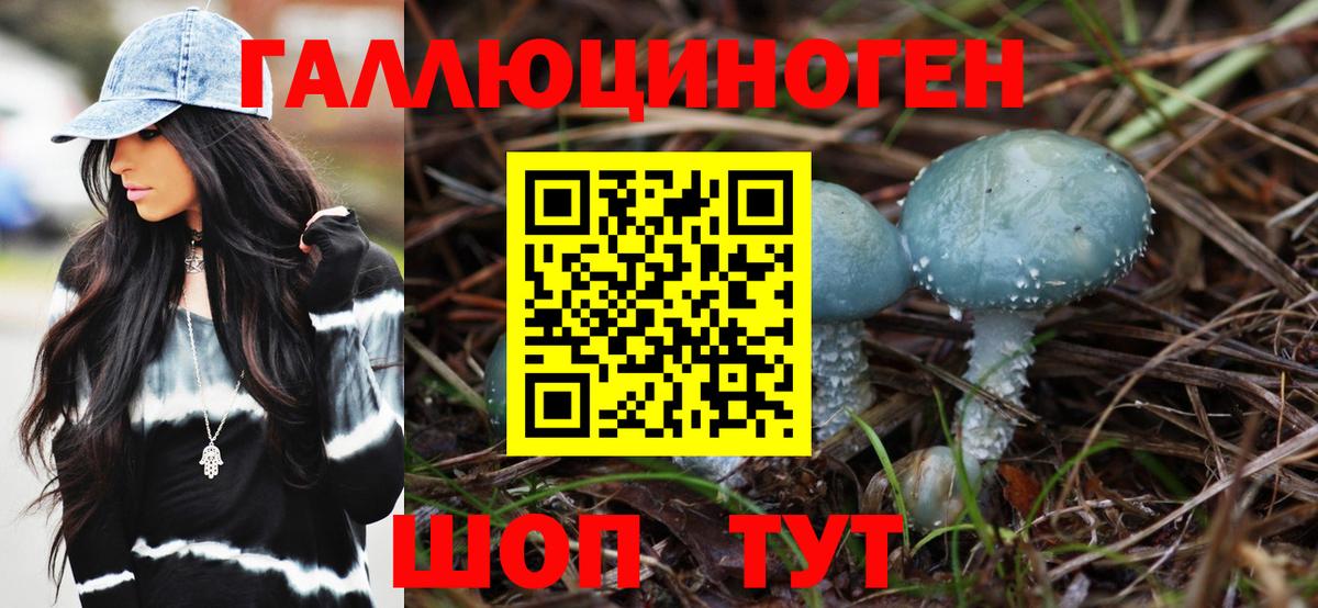 Галлюциногенные грибы GOLDEN TEACHER Вышний Волочёк